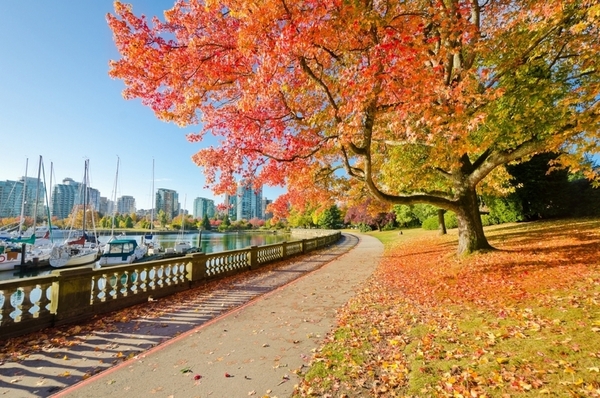 SURREY SCHOOL DISTRICT - BRITISH COLUMBIA - SURREY